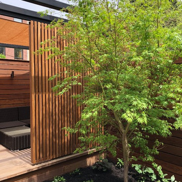 Brooklyn Garden with Pergola