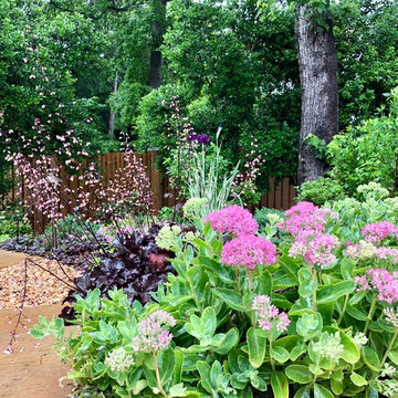 Pool-side Color Garden.