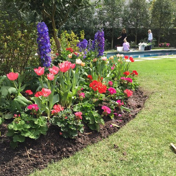 Gardens & Garden Paths
