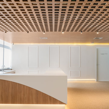 Healthcare Medical Clinic - Full Millwork