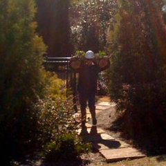 Timberline Expert Tree Service