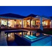 David Ngo's photo