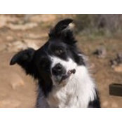 Laura Schoenhaus's photo
