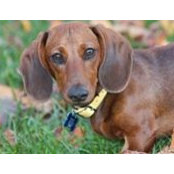 Lisa Boles's photo