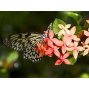 Pam Hoch's photo