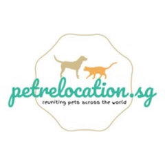 Pet Relocation Singapore - The Best Pet Movers