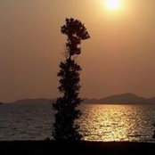 Mario Reyes Jr.'s photo