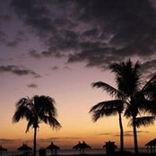 Judy Cagnina's photo