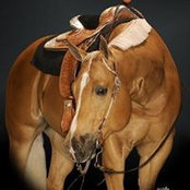 Melissa Massey's photo