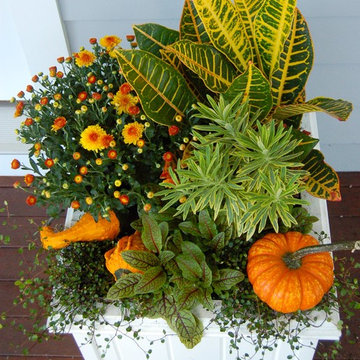 container gardens for autumn