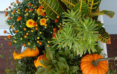 12 Fresh Fall Container Designs for Your Home and Garden