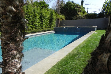 Example of a pool design in Los Angeles
