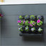Nature Vertical Garden Planter Start Set, Black, 60x50 cm