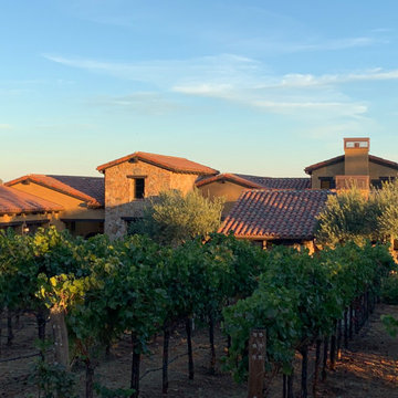 Vineyard Estate