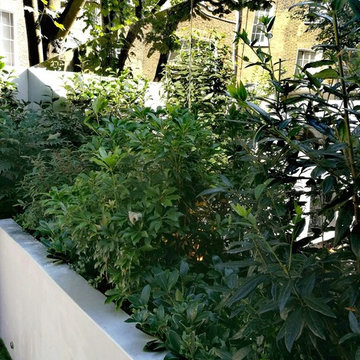 Garden Design, newly built Townhouse in Islington, London