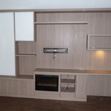 Entertainment Systems & Media Centers