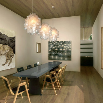 House for an Art Collector