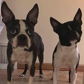 Tonya Lindholm's photo