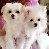Liza Ezronna's photo