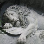 Adrienne Boudreau's photo