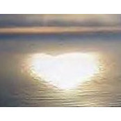 Natalie Perkins's photo