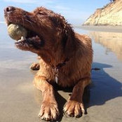 Molly Halloran's photo