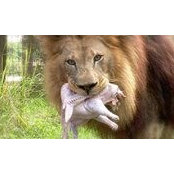 Claudia Boehm's photo
