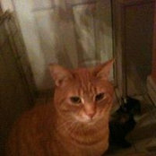 Mia Desrosiers's photo