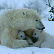 Joan Rickard's photo