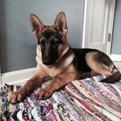 April Anderson's photo