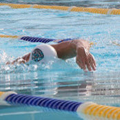 td swimming's photo