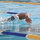 td swimming