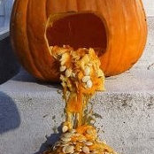Kristine Rhoads's photo
