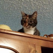 Marlene Thomason's photo