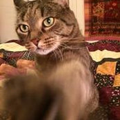 Carol Wisely's photo