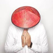 Mihail Stoychev's photo
