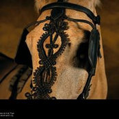 Laurence Gelle's photo