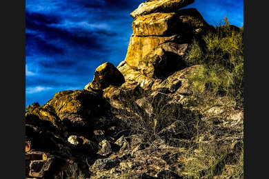 Design ideas for a traditional landscaping in Phoenix.