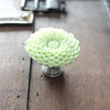 Flower Drawer Knobs - Furniture Knobs Mum, Light Green