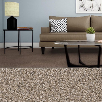 Dreamweaver Talk of the Town 5310 Residential Carpet