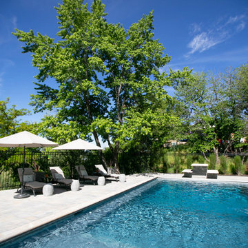 Mature Trees For Pool Landscaping