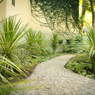 Drought Tolerant Gardenn Path