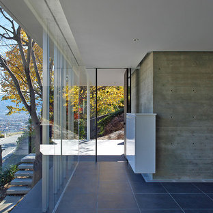 東京23区の片開きドアインダストリアルスタイルのおしゃれな玄関 (グレーの壁、黒い床) の写真