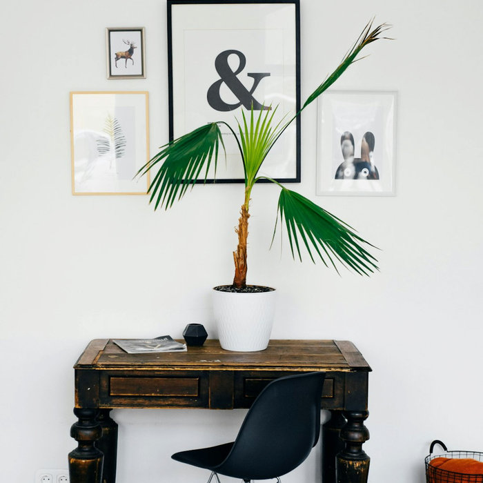 How to Increase the Resale Value of Your Home with a Renovation