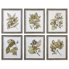 Botanical Study Leaf Berry Flower Wall Art Gold Frame Set Of 6 ~ Uttermost  33651