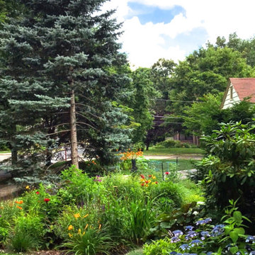 Project "S" - Rain Garden