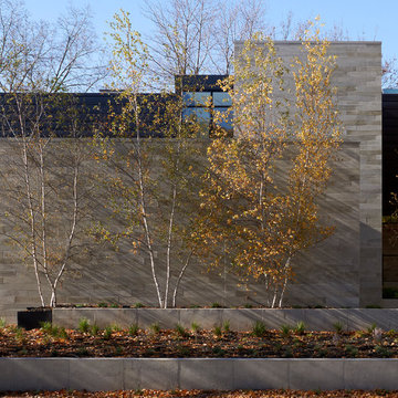Contemporary Exterior