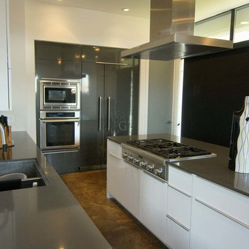 2211 Rosedale, Houston TX 77004, Gryphon Builders, Custom Contemporary Home