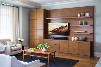 Example of a minimalist living room design in Chicago