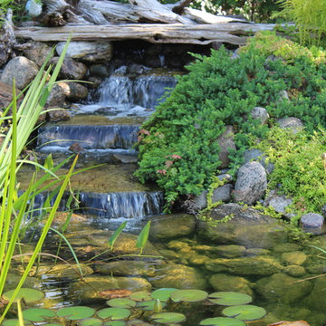 Goldcrest Pond